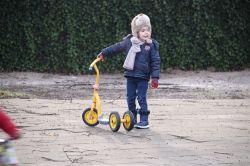 IMG_0395