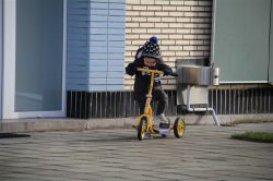 IMG_0461